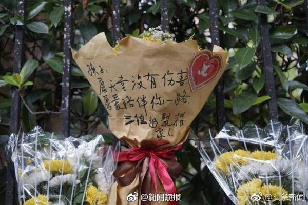 炸丸子怎么做