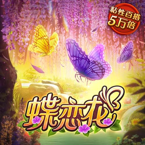 龙淑芬什么梗